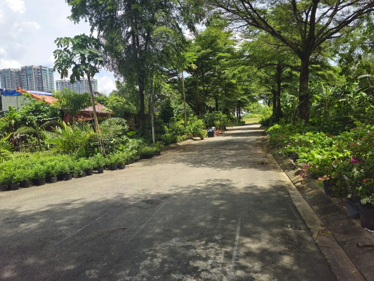 Bán đất KDC Hoàng Anh Minh Tuấn 250m² ngang 10m, đường 12m, 27 tỷ, Phước Long - Ảnh thu nhỏ 4