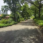 Bán đất KDC Hoàng Anh Minh Tuấn 250m² ngang 10m, đường 12m, 27 tỷ, Phước Long - Ảnh thu nhỏ 4