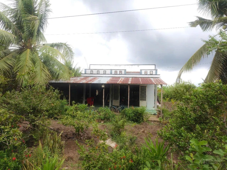 Chính chủ bán 11 công đất trồng lúa Hòa Mỹ, Hậu Giang - Ảnh thu nhỏ 3