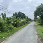 Ngân hàng thanh lý lô đất 1.442m2 tại Ngãi Tứ, Tam Bình, Vĩnh Long - Ảnh thu nhỏ 7