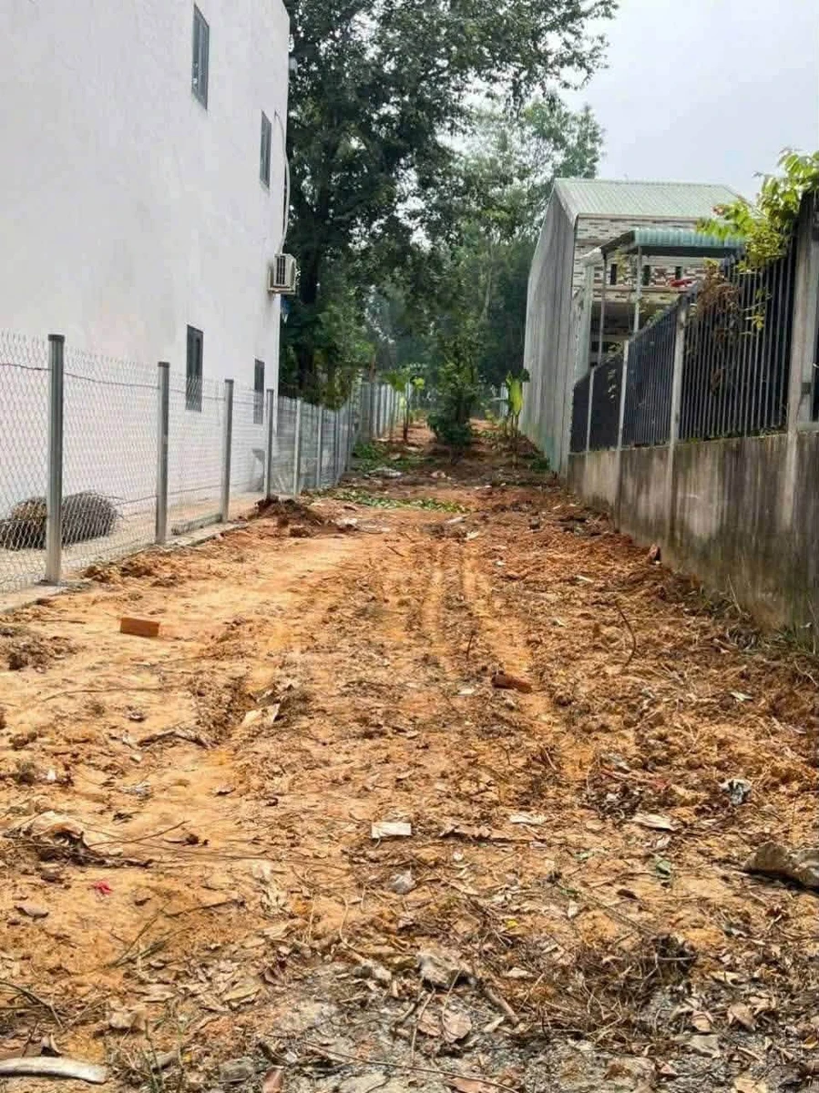 Bán đất Tương Bình Hiệp, 227.9m² mặt tiền Lê Văn Tách, 3.9 tỷ - Ảnh thu nhỏ 3