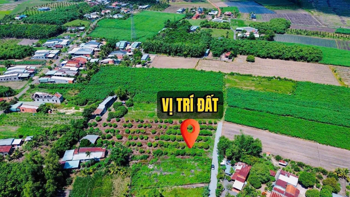Bán đất nền 200m² full thổ cư Tây Ninh 299 triệu - Ảnh thu nhỏ 2