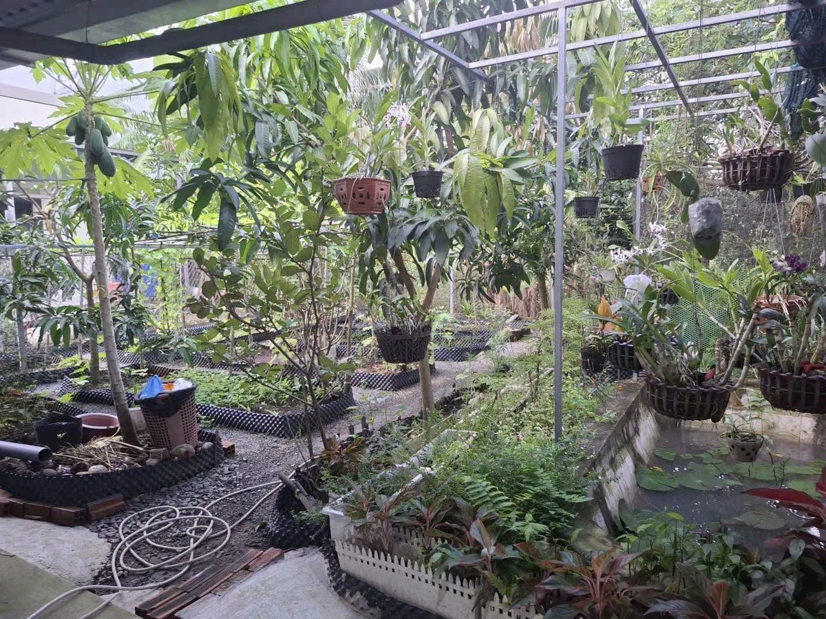 Bán nhà vườn 245m2, 2PN Phú Khương, Thủ Đức - Ảnh thu nhỏ 2