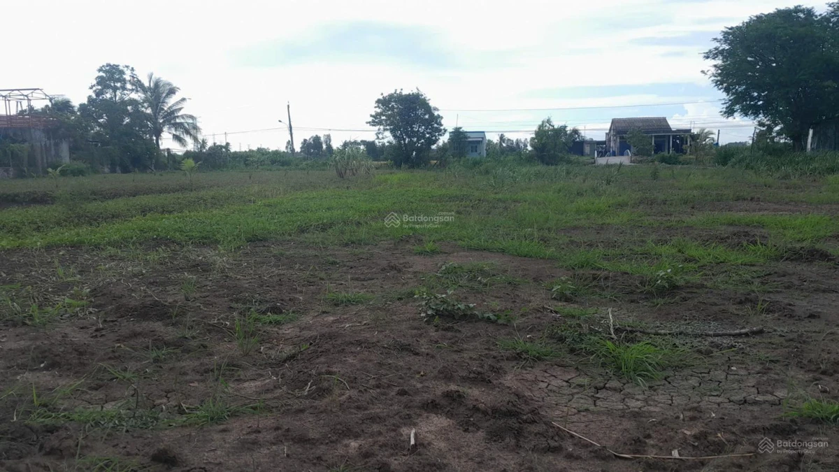 Đất đường nhựa DH3 Gò Công Đông, Tiền Giang, 1.315m2 200m2 thổ cư, tiền làm nhà vườn, giá 1,3 tỷ TL - Ảnh thu nhỏ 4