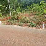 Bán đất mặt tiền đường nhựa, sổ hồng chính chủ, công chứng ngay - Ảnh thu nhỏ 2