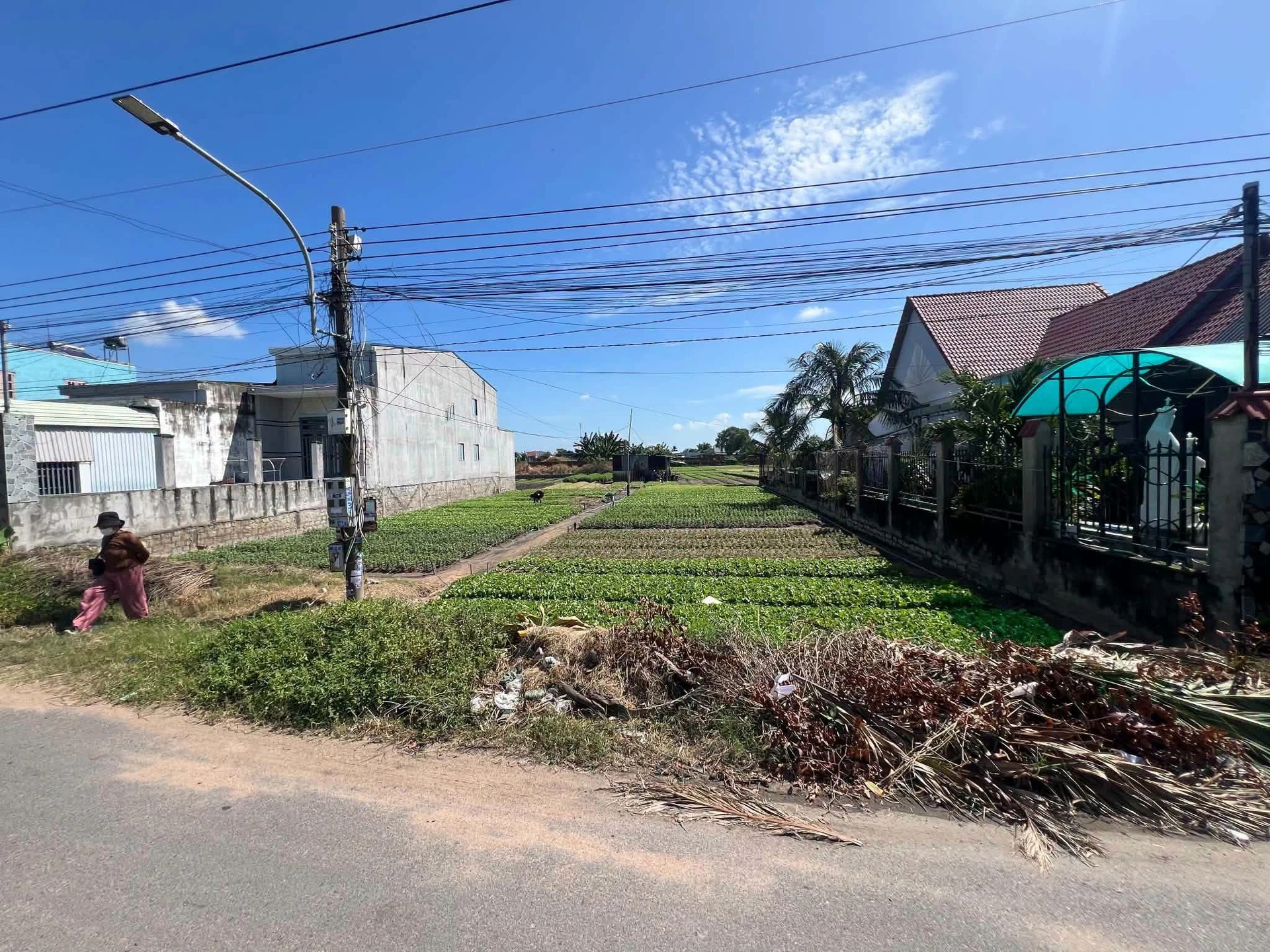 Bán đất Phú Mỹ 300m² 4,5 tỷ - Ảnh 1