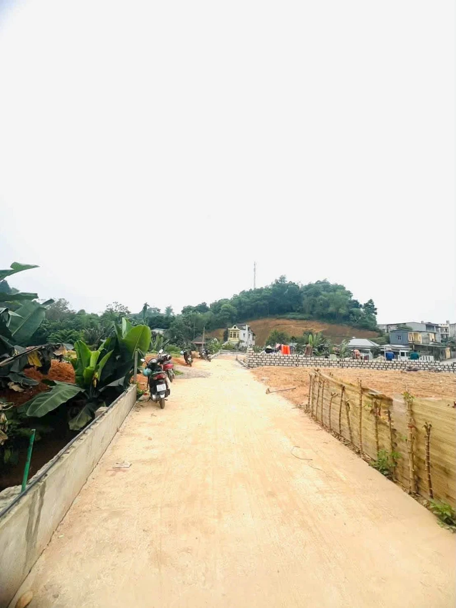 Bán đất Yên Ninh, Bình Thạnh 80 m², 1 tỷ - Ảnh thu nhỏ 4