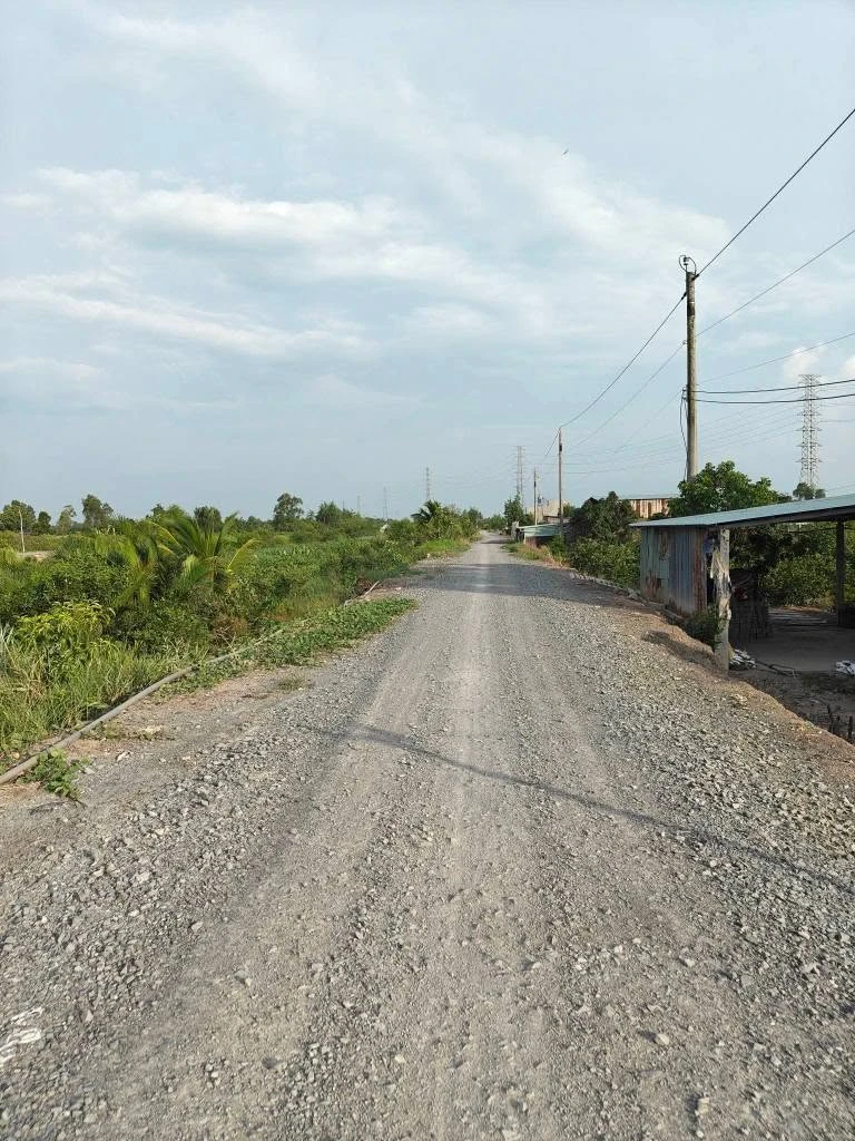 Bán đất ngộp Tân Thành Thủ Thừa 1000m2 giá 425 triệu - Ảnh thu nhỏ 5