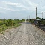 Bán đất ngộp Tân Thành Thủ Thừa 1000m2 giá 425 triệu - Ảnh thu nhỏ 5