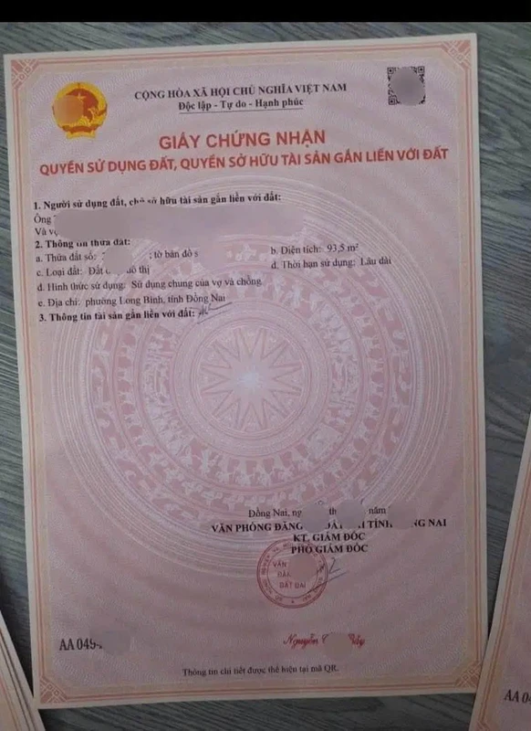 Bán đất Long Bình Chợ Điều Đồng Nai 96.6m², 2,65 tỷ