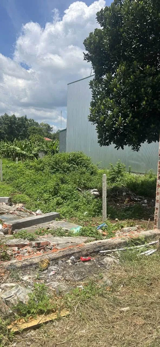 Bán lô đất 5x23m hẻm 200 phường Ea Tam, gần Đại học Tây Nguyên, giá 1,65 tỷ - Ảnh 1
