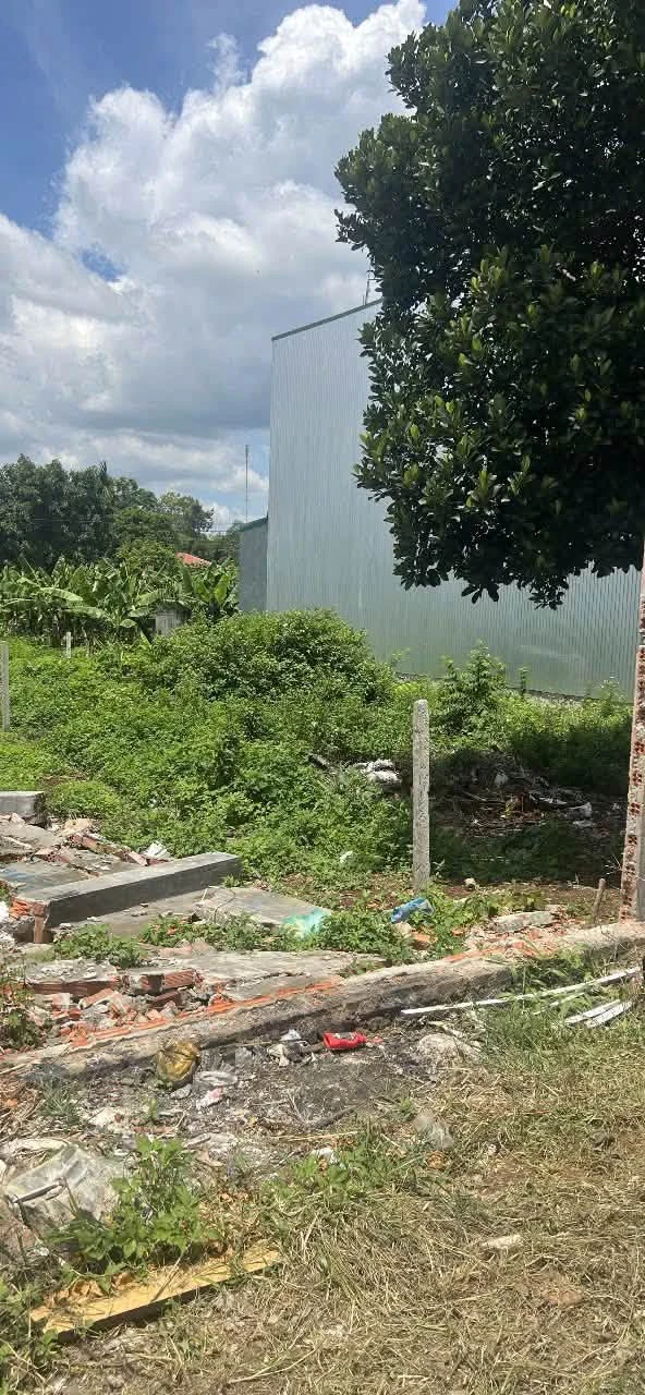 Bán lô đất 5x23m hẻm 200 phường Ea Tam, gần Đại học Tây Nguyên, giá 1,65 tỷ - Ảnh 1