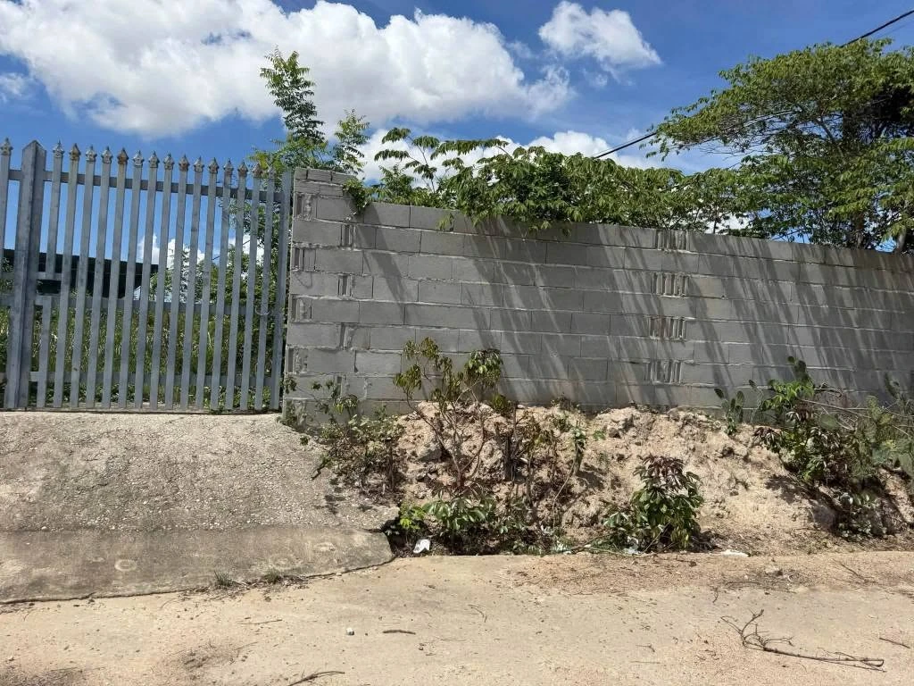 Bán lô đất 1.001m² Thuận Nam, Khánh Hòa - Ảnh thu nhỏ 2