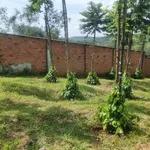Bán đất đỏ mặt tiền 8000m² Hóc Môn 2,4 tỷ - Ảnh thu nhỏ 2