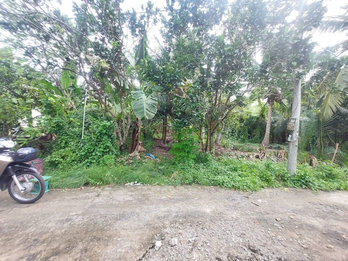 Nền biệt thự 400m² An Hội, Bến Tre - 800 triệu - Ảnh 1