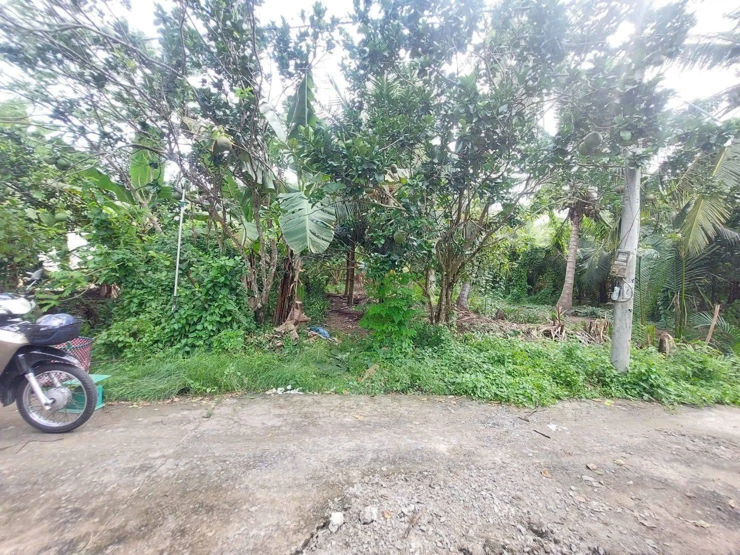 Nền biệt thự 400m² An Hội, Bến Tre - 800 triệu - Ảnh 1