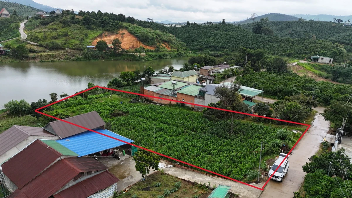 Bán đất Đạm Rông 1 Lâm Đồng 8000m2, 2 tỷ 250 triệu - Ảnh thu nhỏ 4