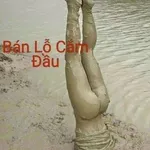 Bán đất mặt tiền Trảng Bàng 185m2, giá 1,25 tỷ - Ảnh thu nhỏ 1