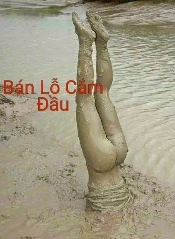 Bán đất mặt tiền Trảng Bàng 185m2, giá 1,25 tỷ - Ảnh 1