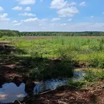 Bán 6 hectare đất trồng cây ăn trái Phú Riêng - Ảnh thu nhỏ 2