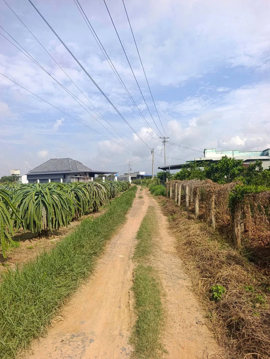 Bán vườn cây ăn trái 1.000m² Lâm Đồng 280 triệu - Ảnh thu nhỏ 3