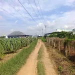Bán vườn cây ăn trái 1.000m² Lâm Đồng 280 triệu - Ảnh thu nhỏ 3