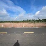 Bán đất nền 250m² sổ sẵn giá 395 triệu Tây Ninh - Ảnh thu nhỏ 3