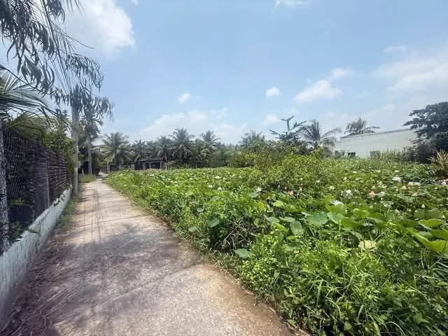 Bán nền đất Bình Phú Bến Tre 200m² 1 tỷ 390 triệu - Ảnh thu nhỏ 4