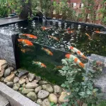 Bán đất tặng nhà tại Vĩnh Yên, Vĩnh Phúc, DT 218m2 mặt tiền rộng hơn 17m, đất vuông vắn, sổ sẵn - Ảnh thu nhỏ 13