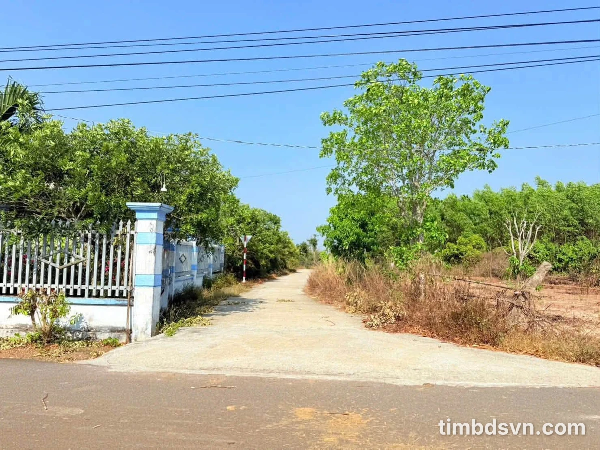 Bán đất góc 2 mặt tiền Xuyên Mộc, gần 2000m2, 3 tỷ - Ảnh thu nhỏ 3