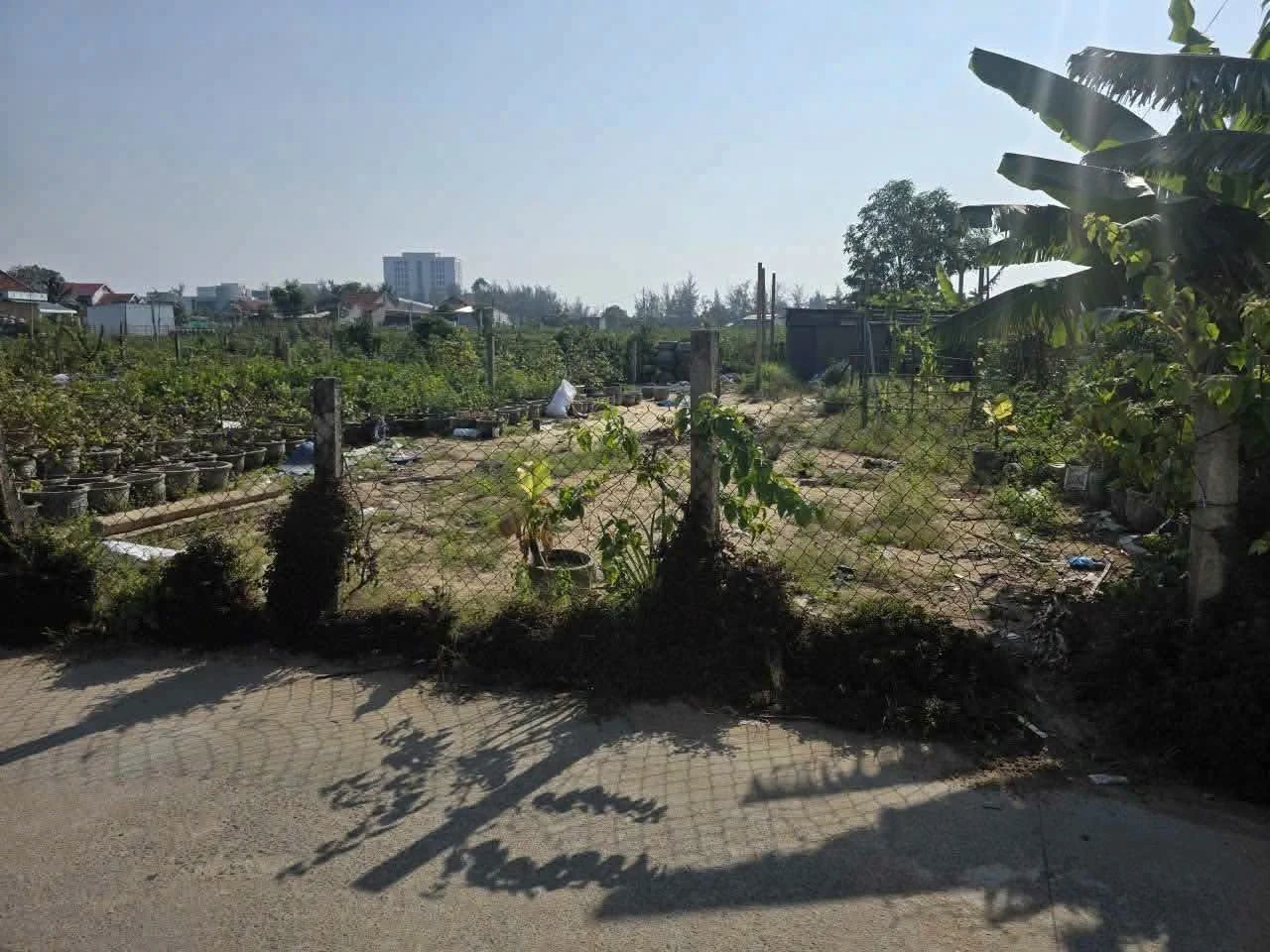 Bán lô đất 260m2 Mậu Thân Tuy Hòa 3 tỷ 200 triệu - Ảnh 1
