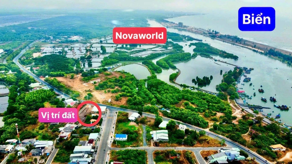 Bán đất mặt tiền đường biển Bình Châu Vũng Tàu 308m2 - Ảnh 1