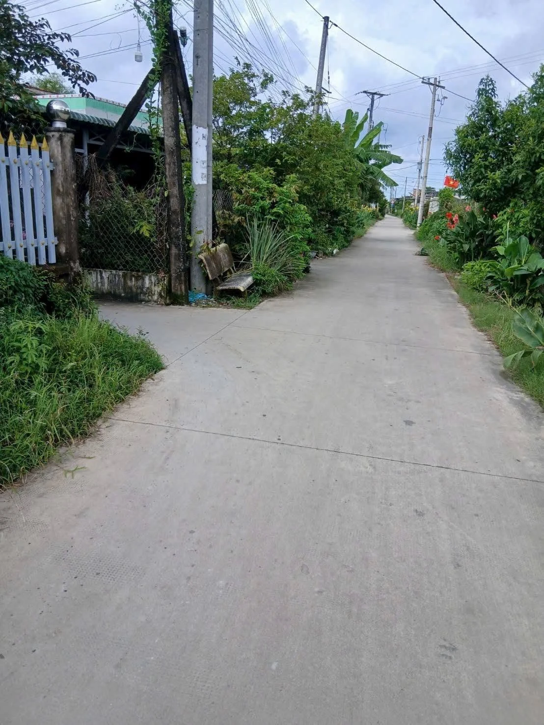 Bán đất thổ cư 105m2 ấp 1 Hòa Phú, Châu Thành, Long An giá 360 triệu - Ảnh 1