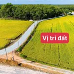 Bán đất mặt tiền thổ cư Tân Biên Tây Ninh 250m2 - Ảnh thu nhỏ 1