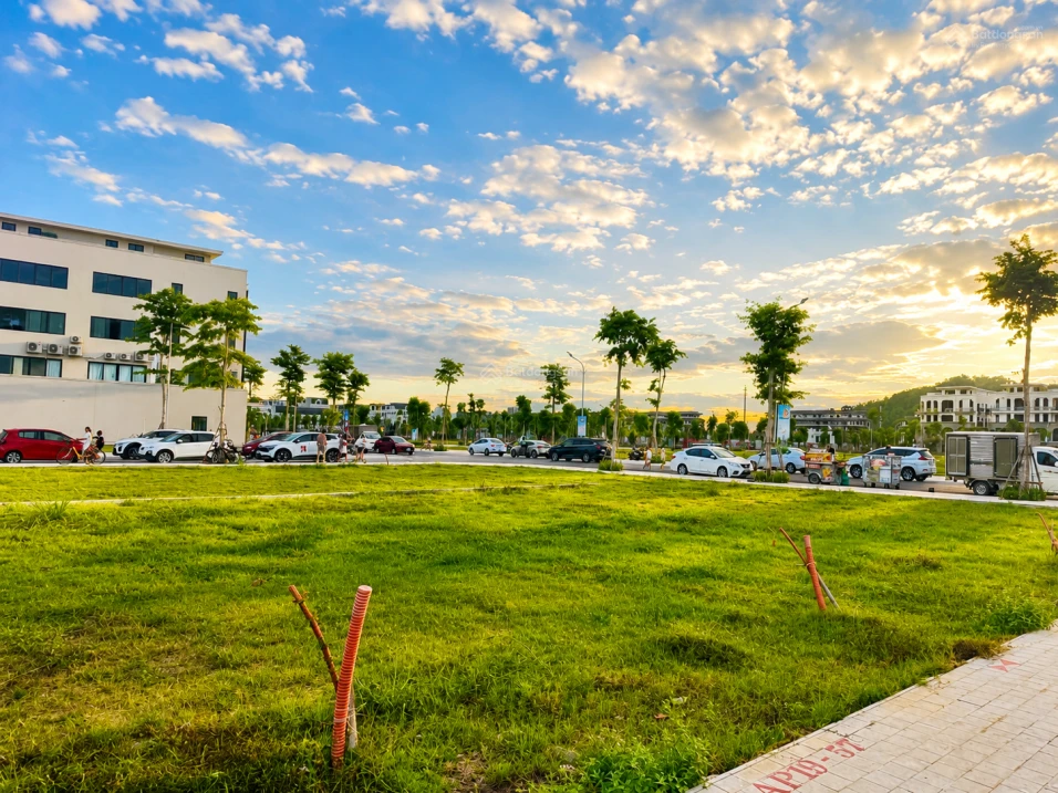 AP09.25 - Siêu phẩm view công viên Heragon City - 3,440 tỷ - 0919 959 *** - Ảnh thu nhỏ 4