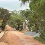 Bán đất kiệt 81.1m² Tôn Thất Sơn, Thanh Thuỷ, Huế - Ảnh thu nhỏ 4