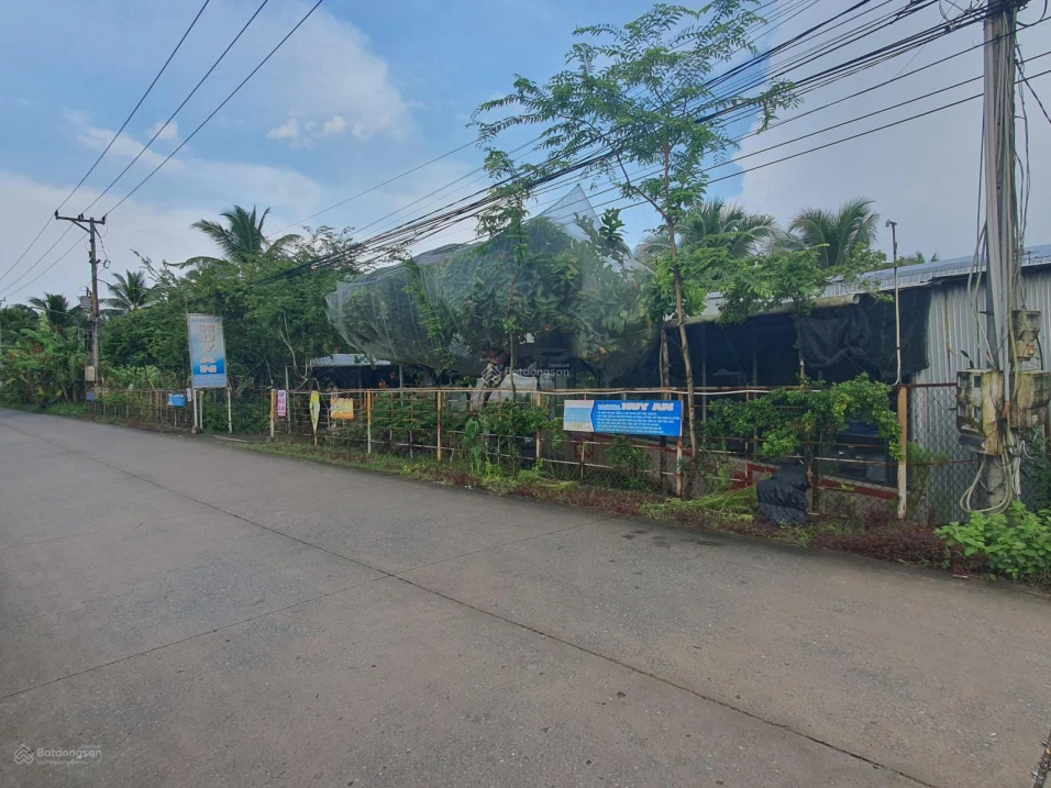 Bán đất 772 ấp Hưng Hòa Đông, 12 tỷ VND, 5200 m2, giá siêu hời - Ảnh thu nhỏ 3