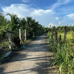 Bán đất vườn 1,2 tỷ (1 công) Lương Hòa Lạc Tiền Giang - Ảnh thu nhỏ 1
