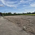 Bán đất thổ 135m² Xã Tân Lân, Cần Đước, Long An - Ảnh thu nhỏ 1