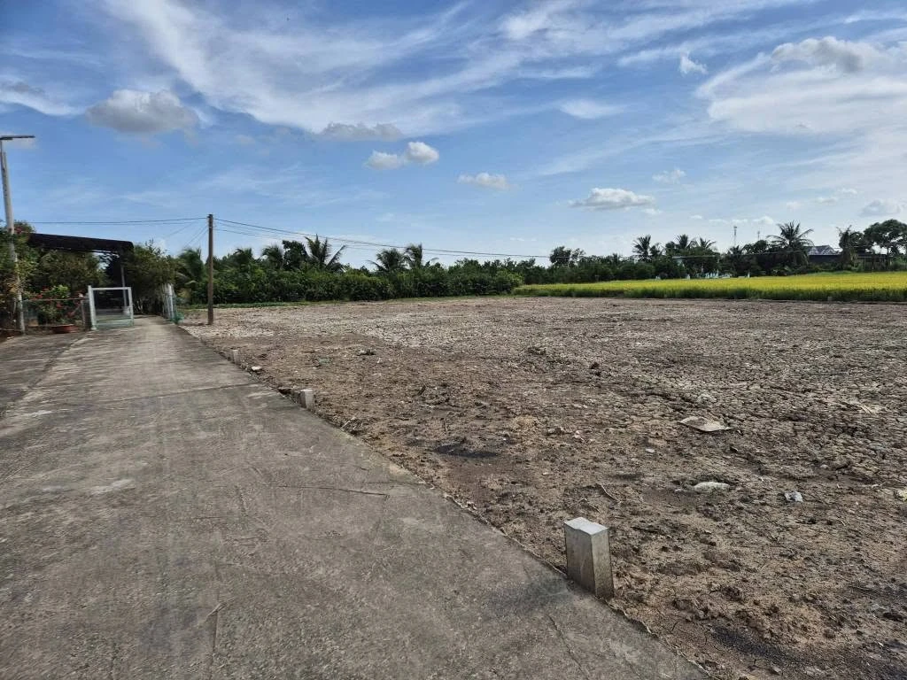 Bán đất thổ 135m² Xã Tân Lân, Cần Đước, Long An - Ảnh 1