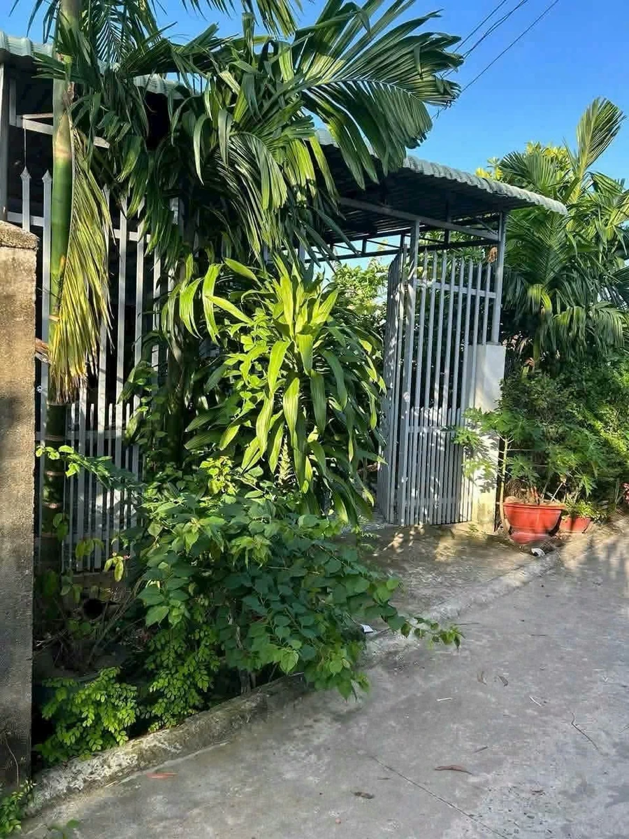 Bán nhà đất 2 PN, 100 m² hậu dài Tây Ninh - Ảnh thu nhỏ 3