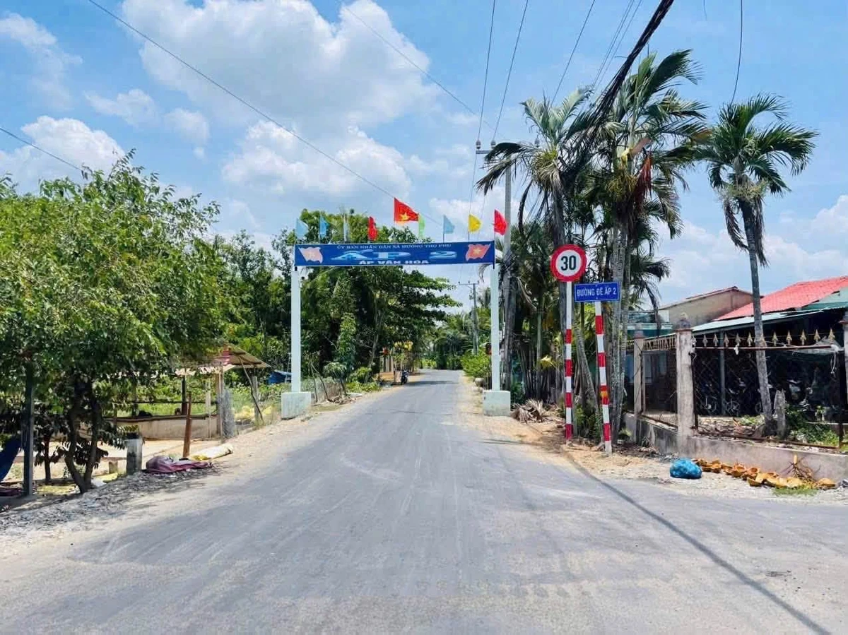 Bán đất thổ mặt tiền Lê Văn Tưởng, 176m², Tân An, Long An - Ảnh 1