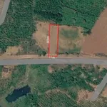 Bán đất 440m² mặt đường Lâm Đồng 450 triệu - Ảnh thu nhỏ 1