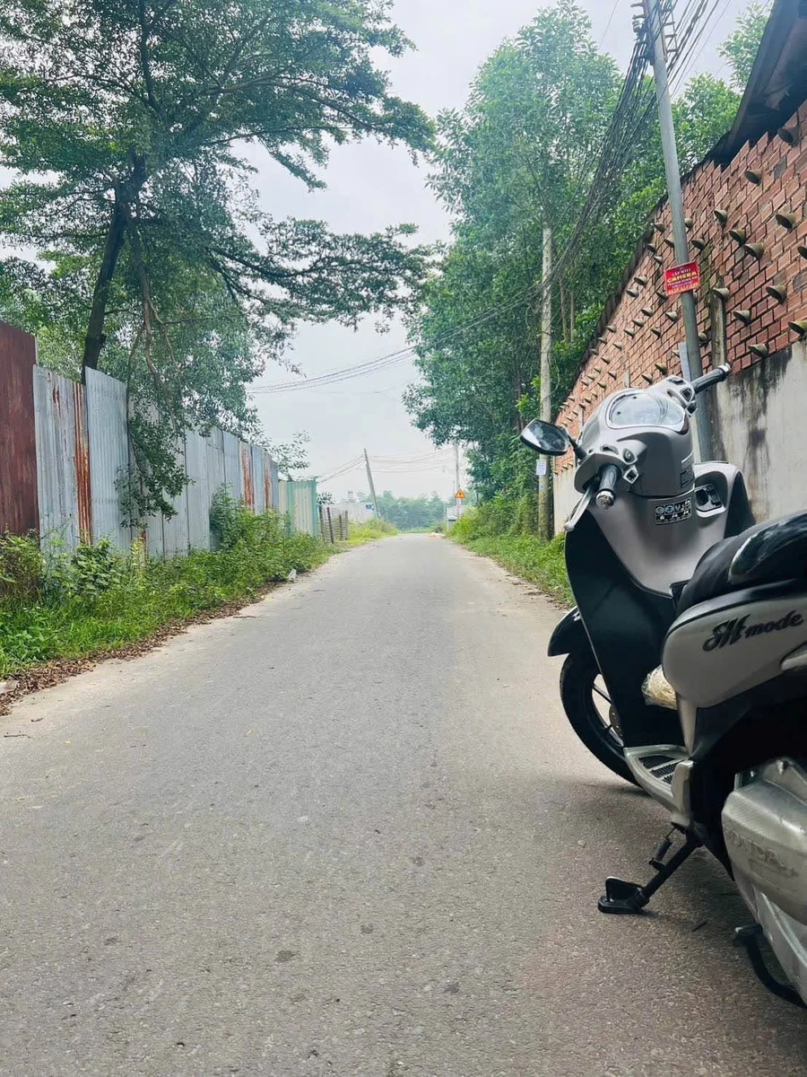 Bán đất Giang Điền 500m² mặt tiền nhựa 1 tỷ 5 - Ảnh thu nhỏ 2
