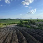 Bán 1 hecta đất tại huyện M'Đrăk, tỉnh Đắk Lắk - Ảnh thu nhỏ 18