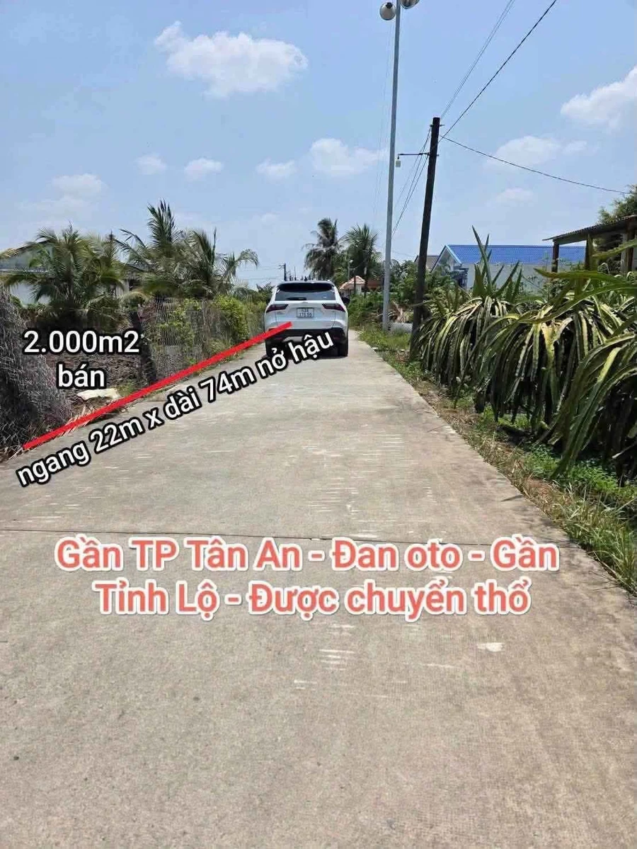Bán đất lúa 2.000m2 được chuyển thổ, mặt tiền đan ô tô tại xã Vĩnh Công, Châu Thành, Long An - Ảnh thu nhỏ 2