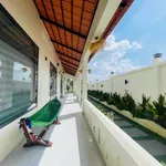 Nhà vườn 465m² 2PN gần biển Lộc An 4,35 tỷ - Ảnh thu nhỏ 5