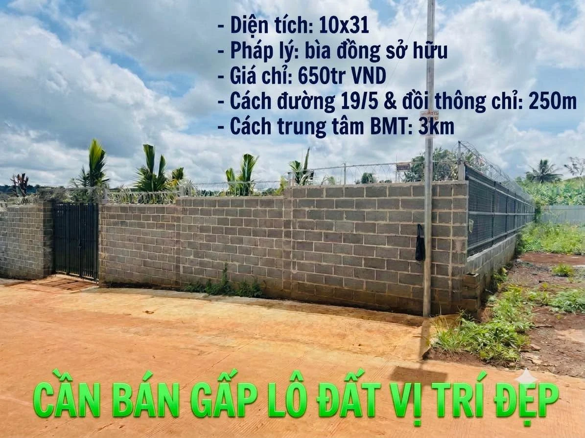 Bán đất Bàu Bàng 310m² đường 19/5 sổ hồng - Ảnh 1