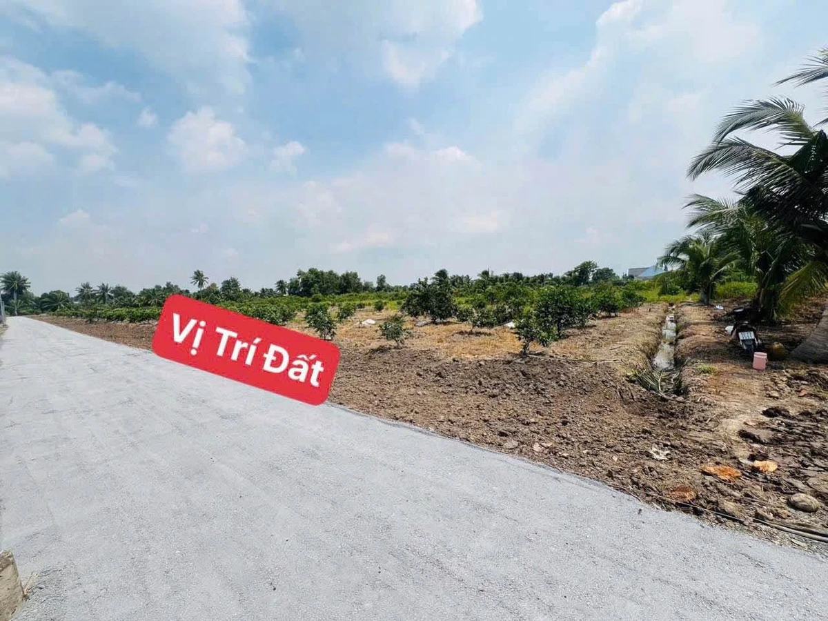 Bán đất Bến Lức Long An 486m2 gần Sông Vàm Cỏ Đông - Ảnh thu nhỏ 3