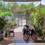Nhà 2 tầng 100m² đường Út Tịch, Huế, giá 3 tỷ 9 - Ảnh thu nhỏ 1